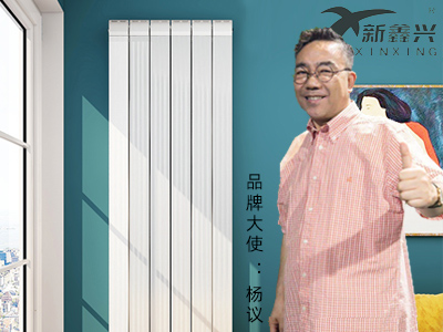 新鑫兴采暖散热器